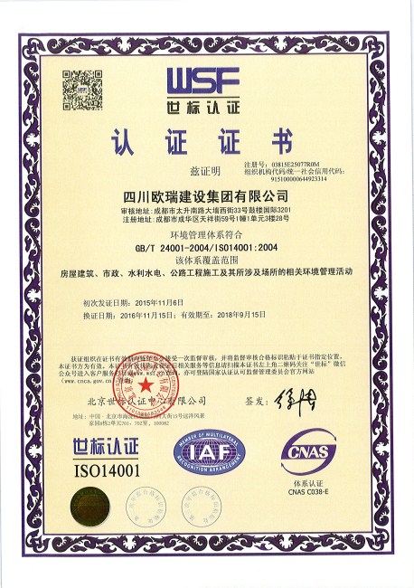 壹定发集团世标认证ISO14004